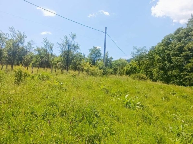 teren-4561-mp-de-vanzare-in-gales-jud-arges-small-2