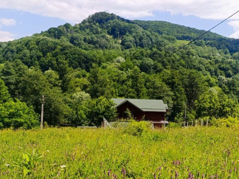 teren-4561-mp-de-vanzare-in-gales-jud-arges