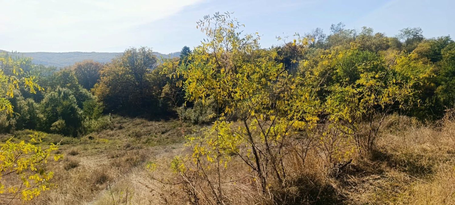 teren-intravilan-si-extravilan-38231-mp-de-vanzare-in-cicanesti-arges-big-4