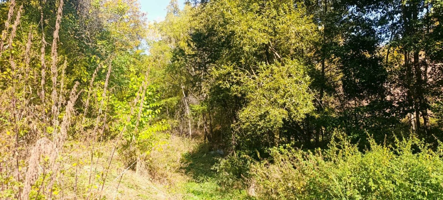 teren-intravilan-si-extravilan-38231-mp-de-vanzare-in-cicanesti-arges-big-3