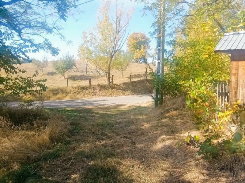teren-intravilan-si-extravilan-38231-mp-de-vanzare-in-cicanesti-arges-small-1