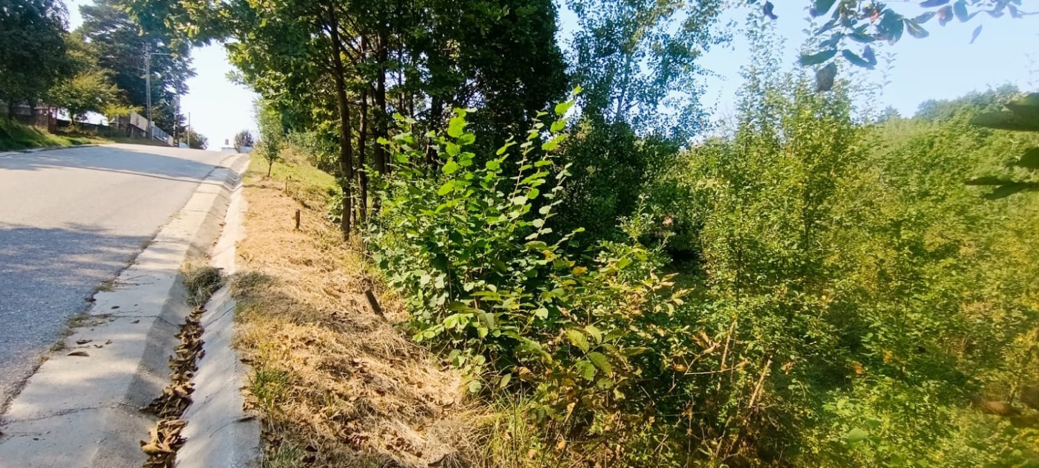 teren-intravilan-917-mp-de-vanzare-in-baiculesti-arges-big-0