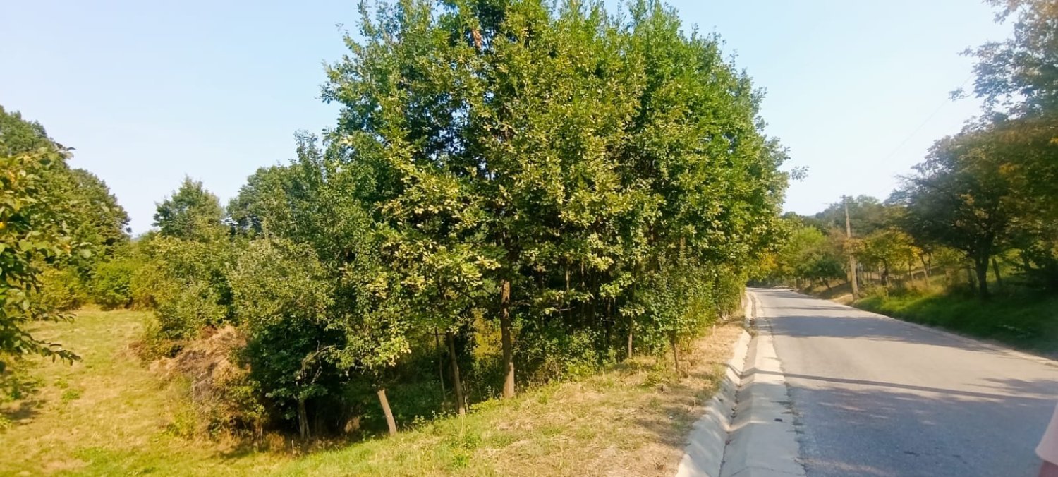 teren-intravilan-917-mp-de-vanzare-in-baiculesti-arges-big-1