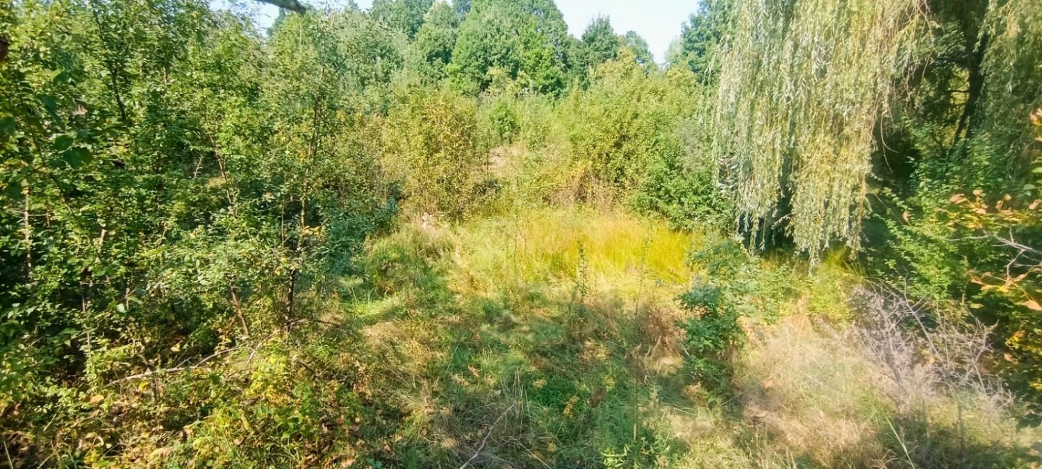 teren-intravilan-917-mp-de-vanzare-in-baiculesti-arges-big-2