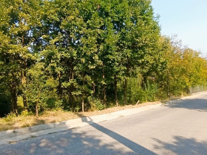 teren-intravilan-917-mp-de-vanzare-in-baiculesti-arges-small-3