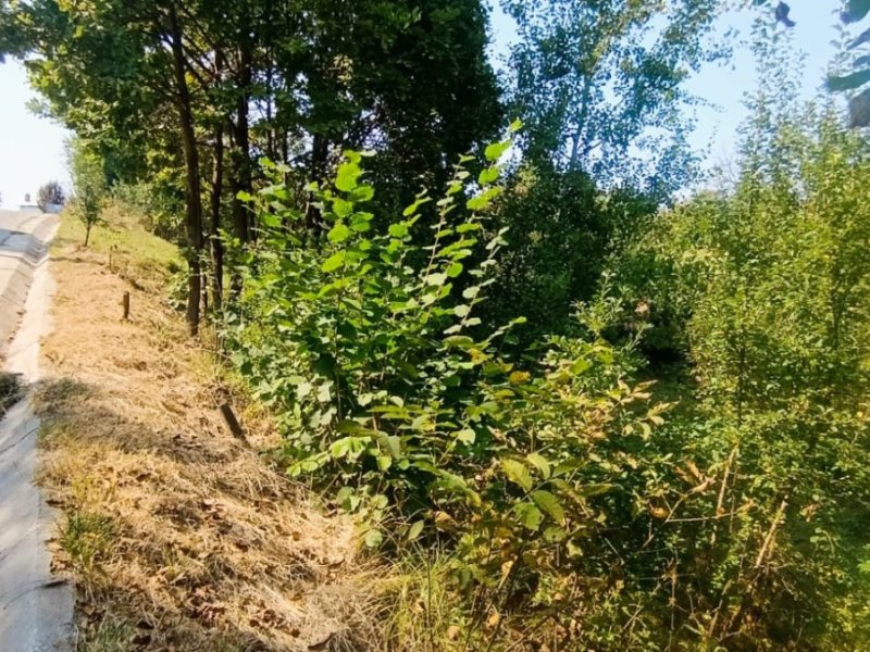 teren-intravilan-917-mp-de-vanzare-in-baiculesti-arges