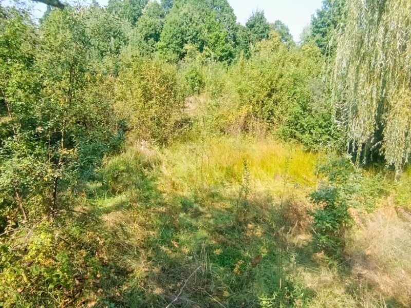 teren-intravilan-917-mp-de-vanzare-in-baiculesti-arges-small-2