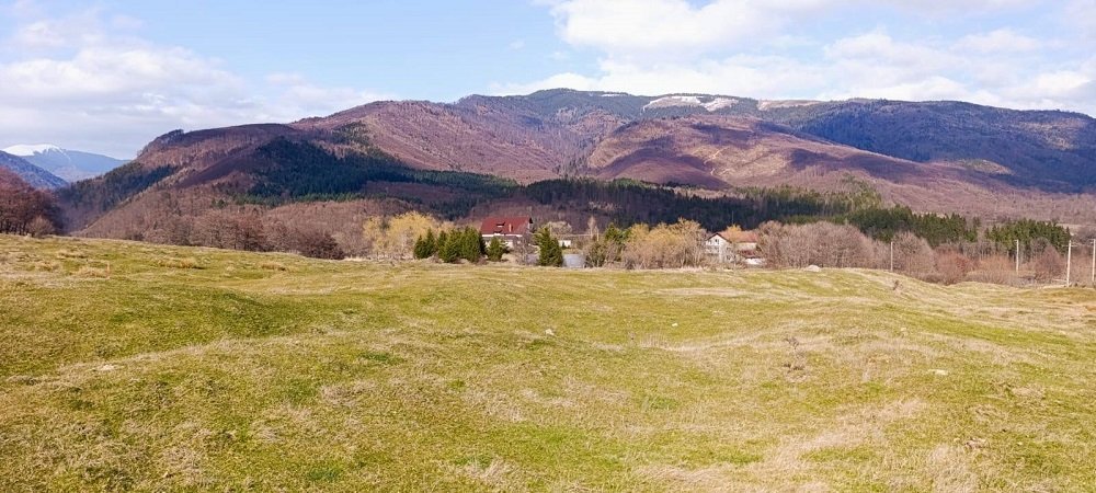 teren-4600-mp-intravilan-de-vanzare-in-nucsoara-arges-big-0