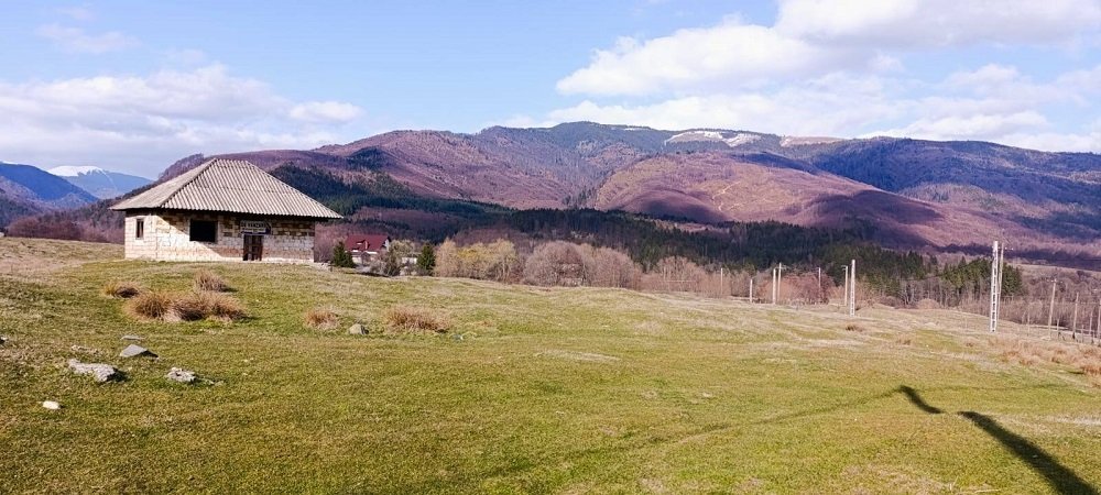 teren-4600-mp-intravilan-de-vanzare-in-nucsoara-arges-big-4
