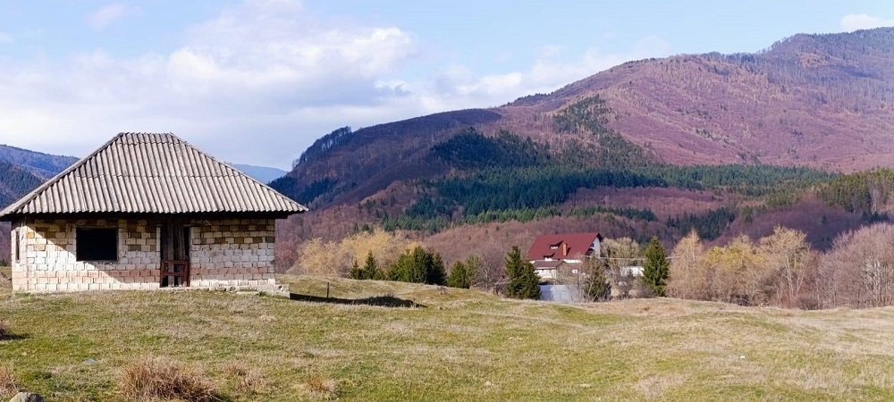 teren-4600-mp-intravilan-de-vanzare-in-nucsoara-arges-big-3