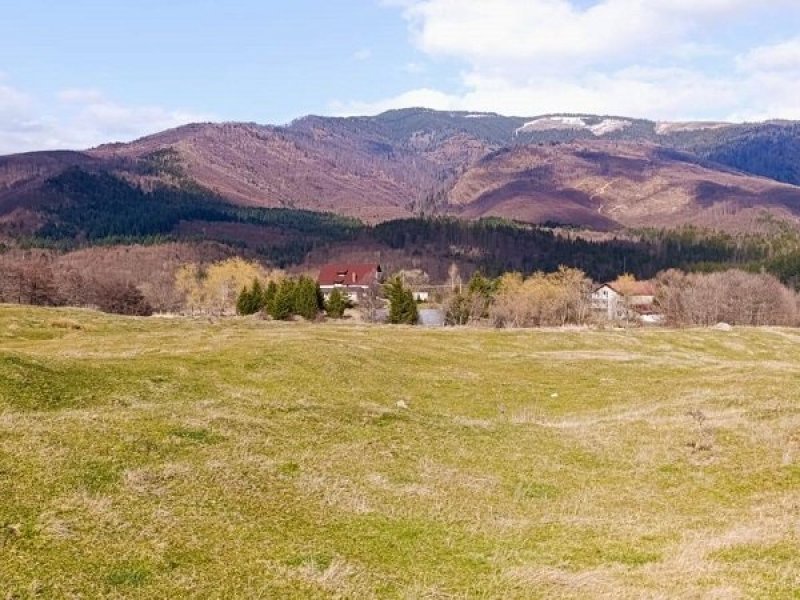 teren-4600-mp-intravilan-de-vanzare-in-nucsoara-arges
