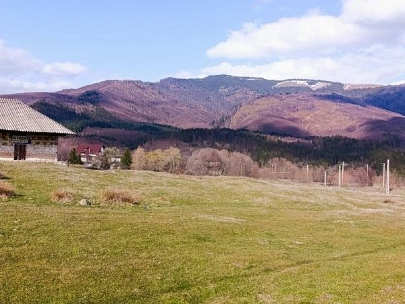 teren-4600-mp-intravilan-de-vanzare-in-nucsoara-arges-small-4