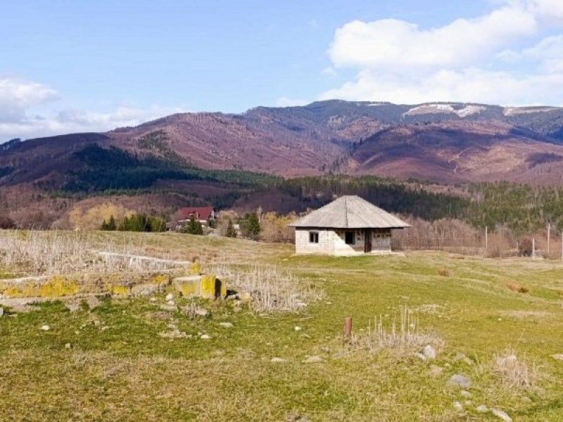 teren-4600-mp-intravilan-de-vanzare-in-nucsoara-arges-small-2