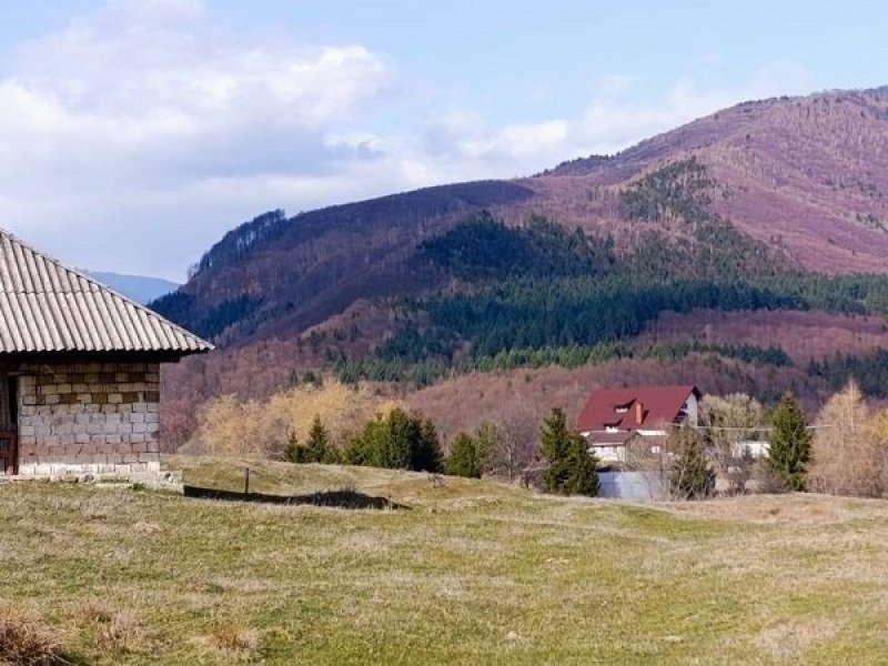 teren-4600-mp-intravilan-de-vanzare-in-nucsoara-arges-small-3