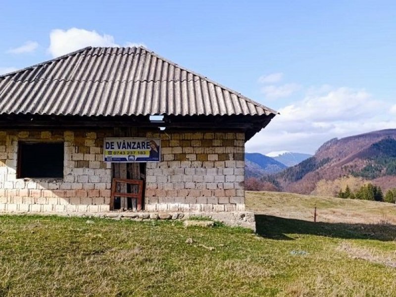 teren-4600-mp-intravilan-de-vanzare-in-nucsoara-arges-small-1