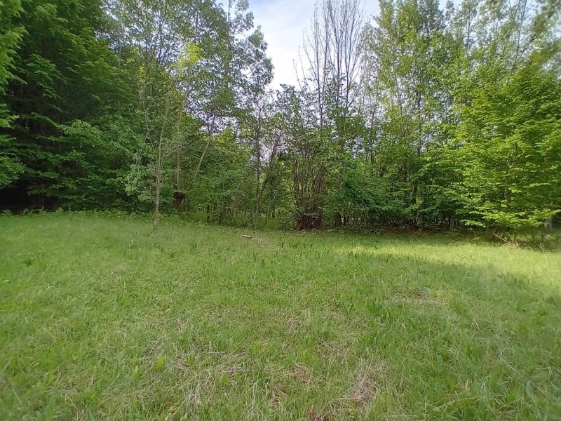 teren-4600-mp-extravilan-de-vanzare-in-bradulet-arges-small-1