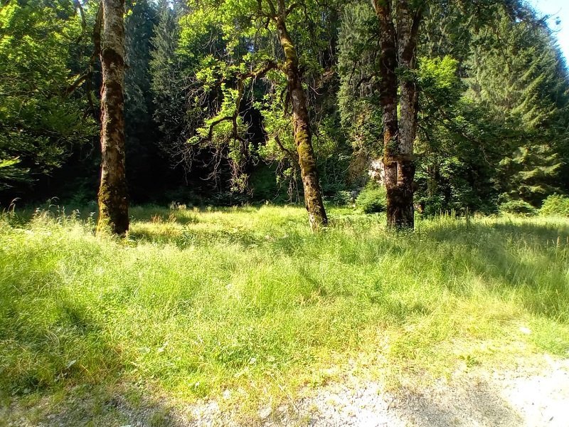 teren-de-vanzare-zona-valea-cu-pesti-transfagarasan-big-2
