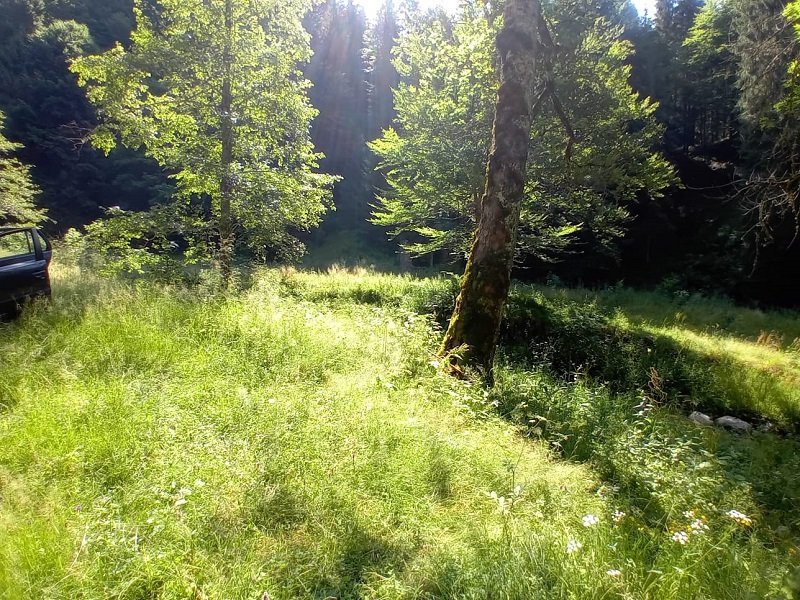 teren-de-vanzare-zona-valea-cu-pesti-transfagarasan-small-1