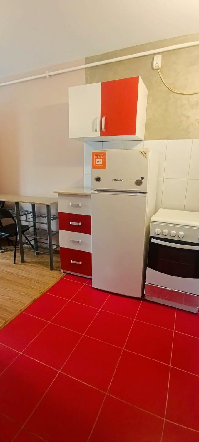 garsoniera-de-inchiriat-in-curtea-de-arges-zona-electro-big-2