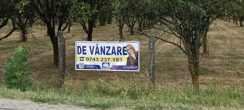 teren-7150-mp-de-vanzare-in-oesti-arges-big-0