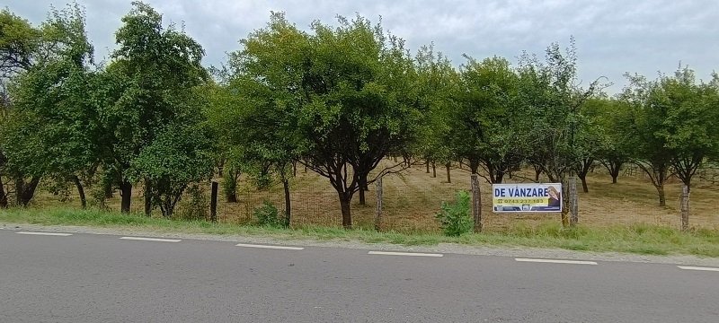 teren-7150-mp-de-vanzare-in-oesti-arges-big-1