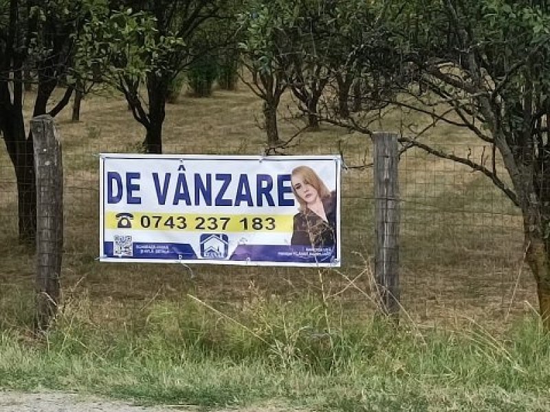 teren-7150-mp-de-vanzare-in-oesti-arges