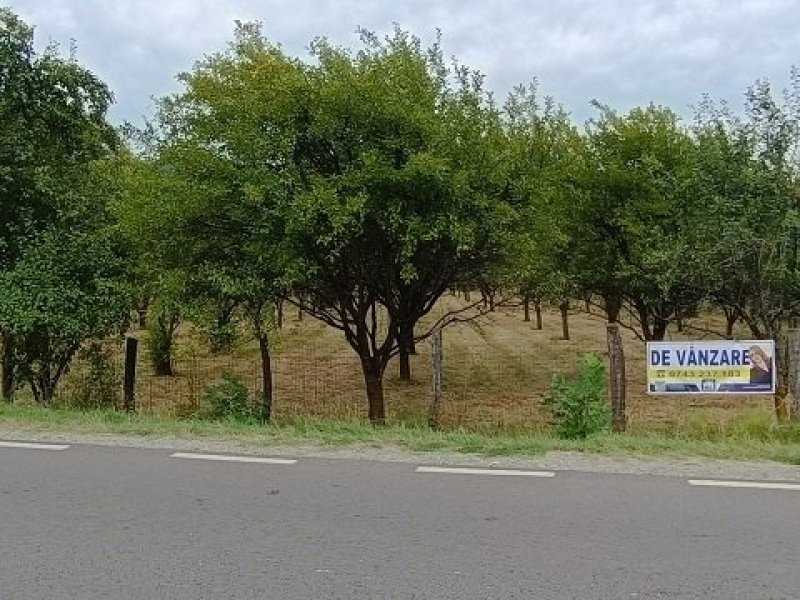 teren-7150-mp-de-vanzare-in-oesti-arges-small-1
