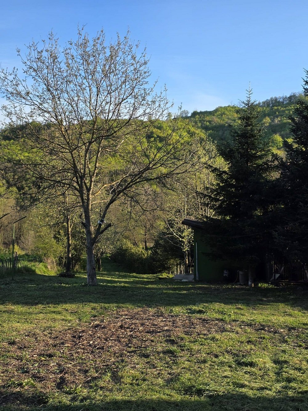 teren-de-vanzare-in-tutana-jud-arges-big-3