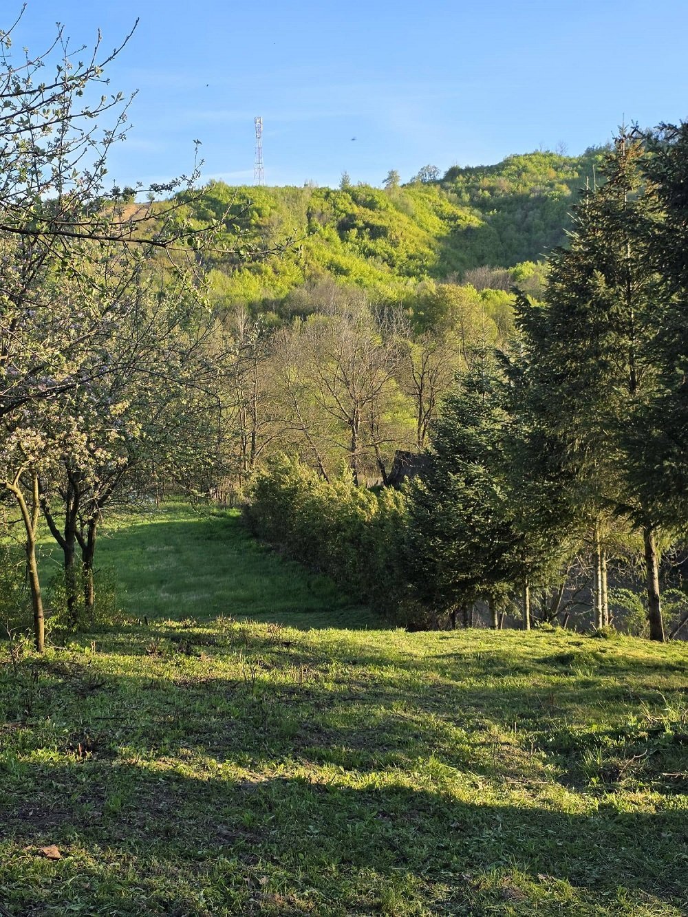 teren-de-vanzare-in-tutana-jud-arges-big-1