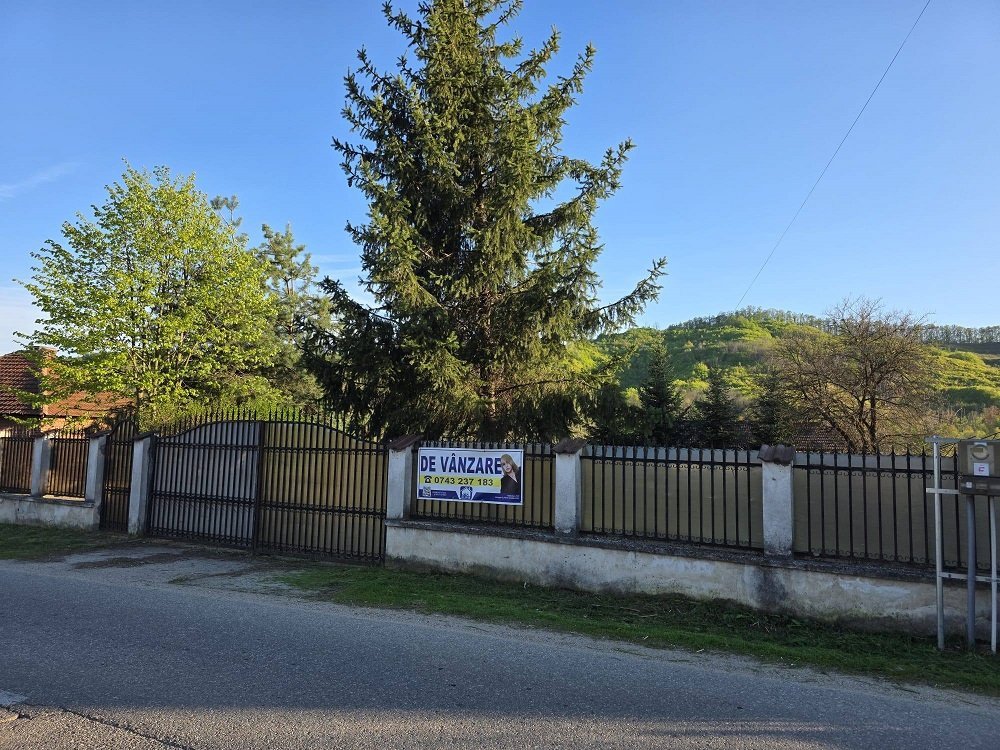 teren-de-vanzare-in-tutana-jud-arges-big-0