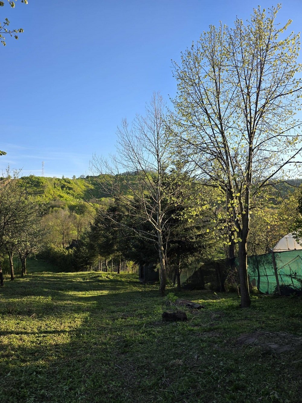 teren-de-vanzare-in-tutana-jud-arges-big-4