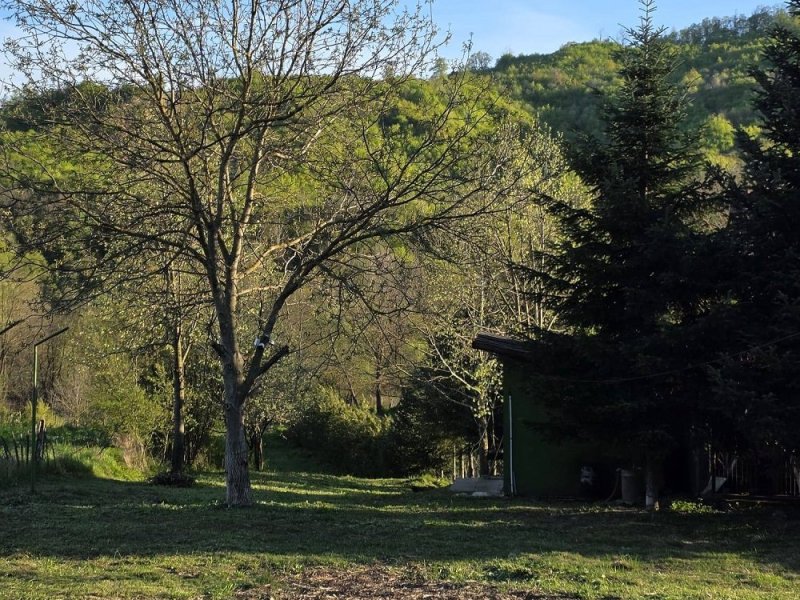 teren-de-vanzare-in-tutana-jud-arges-small-3