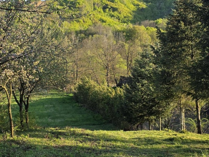 teren-de-vanzare-in-tutana-jud-arges-small-1