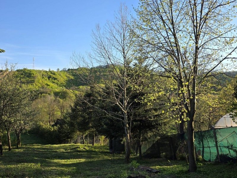 teren-de-vanzare-in-tutana-jud-arges-small-4