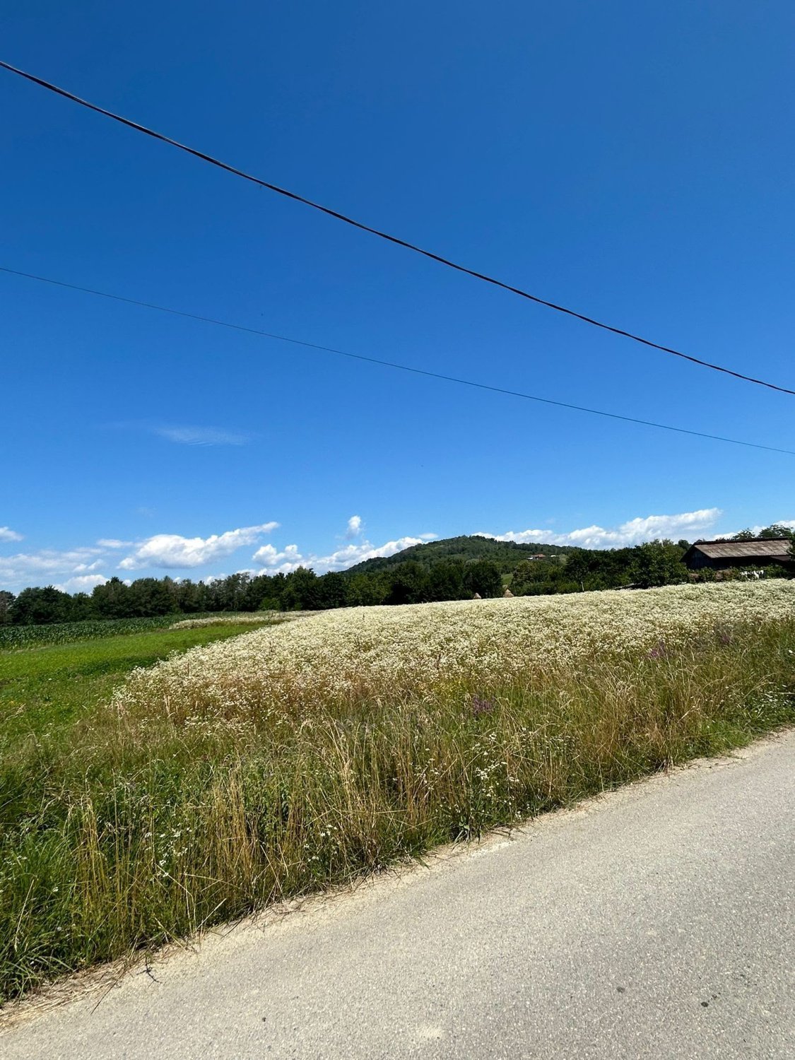 teren-de-vanzare-3749-mp-intravilan-extravilan-tigveni-sat-balteni-jud-arges-big-0