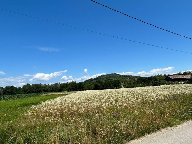 teren-de-vanzare-3749-mp-intravilan-extravilan-tigveni-sat-balteni-jud-arges