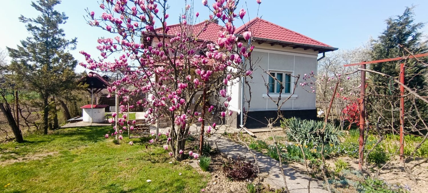 casa-de-vanzare-cu-teren-2838-mp-in-manicesti-arges-big-2