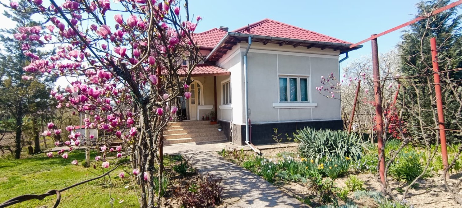 casa-de-vanzare-cu-teren-2838-mp-in-manicesti-arges-big-4