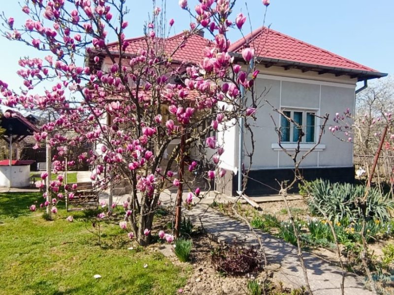 casa-de-vanzare-cu-teren-2838-mp-in-manicesti-arges-small-2