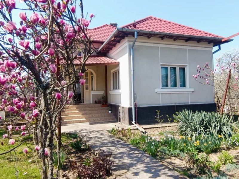 casa-de-vanzare-cu-teren-2838-mp-in-manicesti-arges-small-4