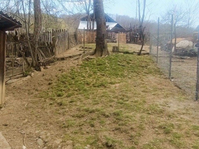 casa-de-vanzare-pe-cu-287-mp-teren-in-bradet-jud-arges-small-2
