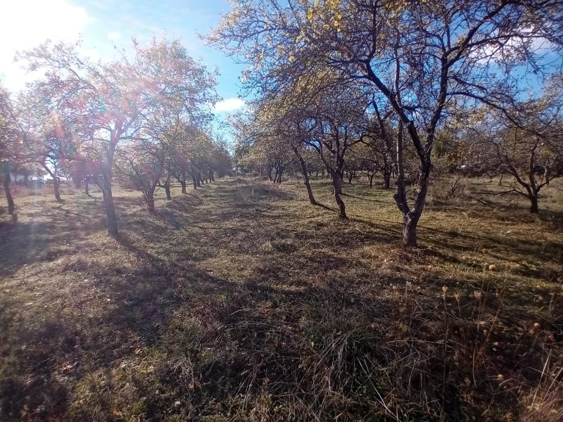 teren-intravilan-si-extravilan-2335-mp-de-vanzare-in-cerbureni-arges