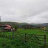 Teren Intravilan 4282 Mp In Valea Danului Arges