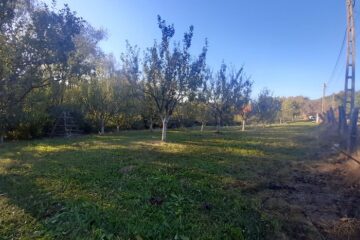 Teren intravilan 2346 mp in Albesti Arges