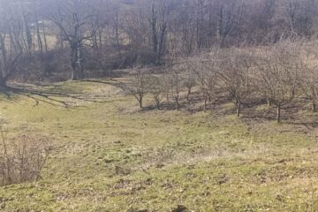 Teren 6045 mp de vanzare in Valea Iasului jud Arges