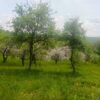 Teren 5384 mp de vanzare in Valea Danului jud Arges