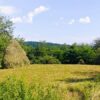 Teren de vanzare 3675 mp in Valea Iasului Arges