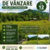 Teren 4561 mp intravilan de vanzare in Gales jud Arges